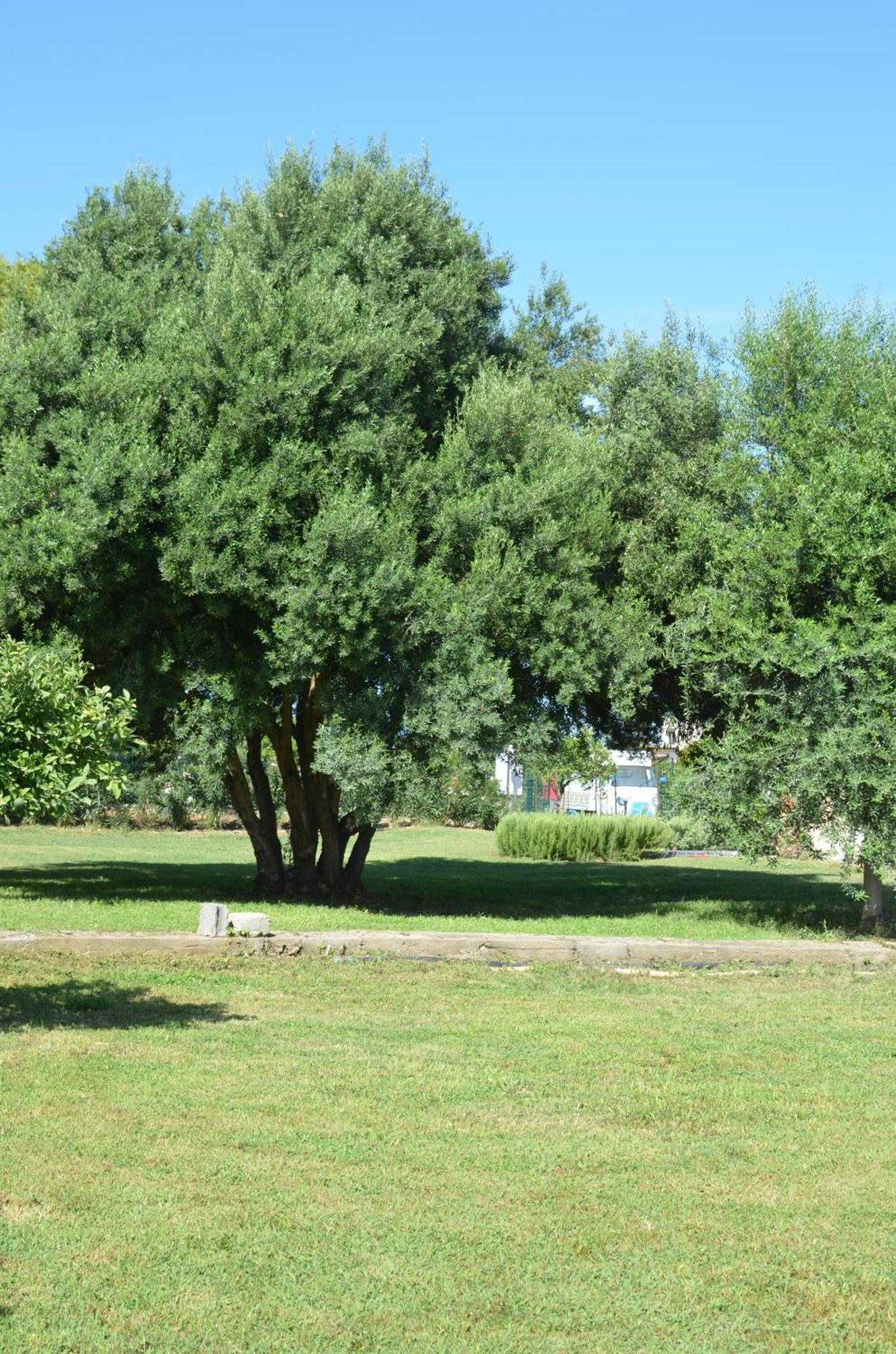 Villa Teti - Sicilia กัมโปเฟลิเช ดิ โรชเชลลา ภายนอก รูปภาพ