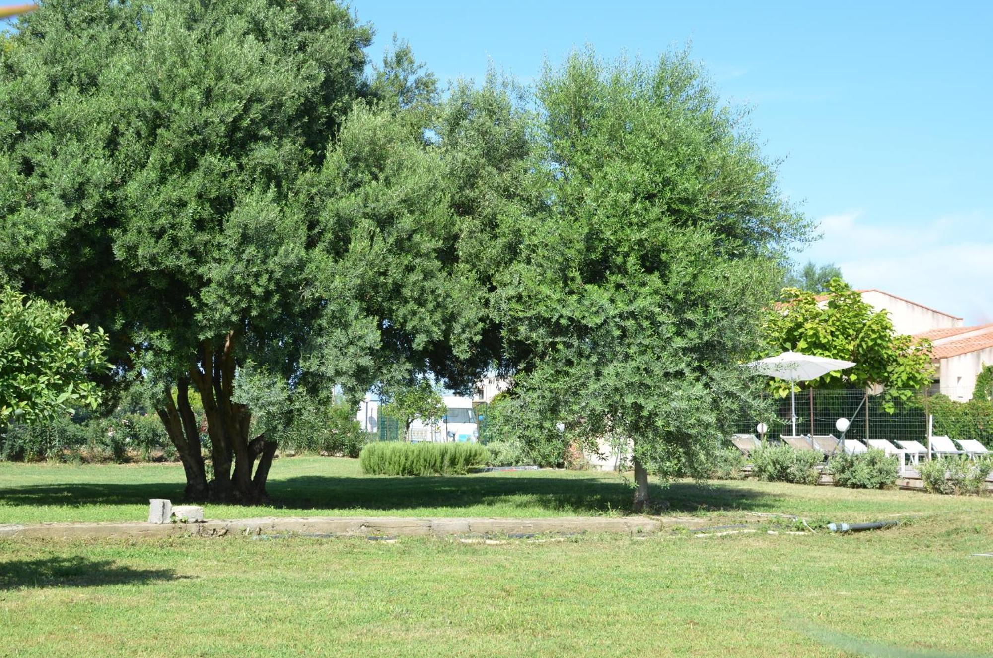 Villa Teti - Sicilia กัมโปเฟลิเช ดิ โรชเชลลา ภายนอก รูปภาพ